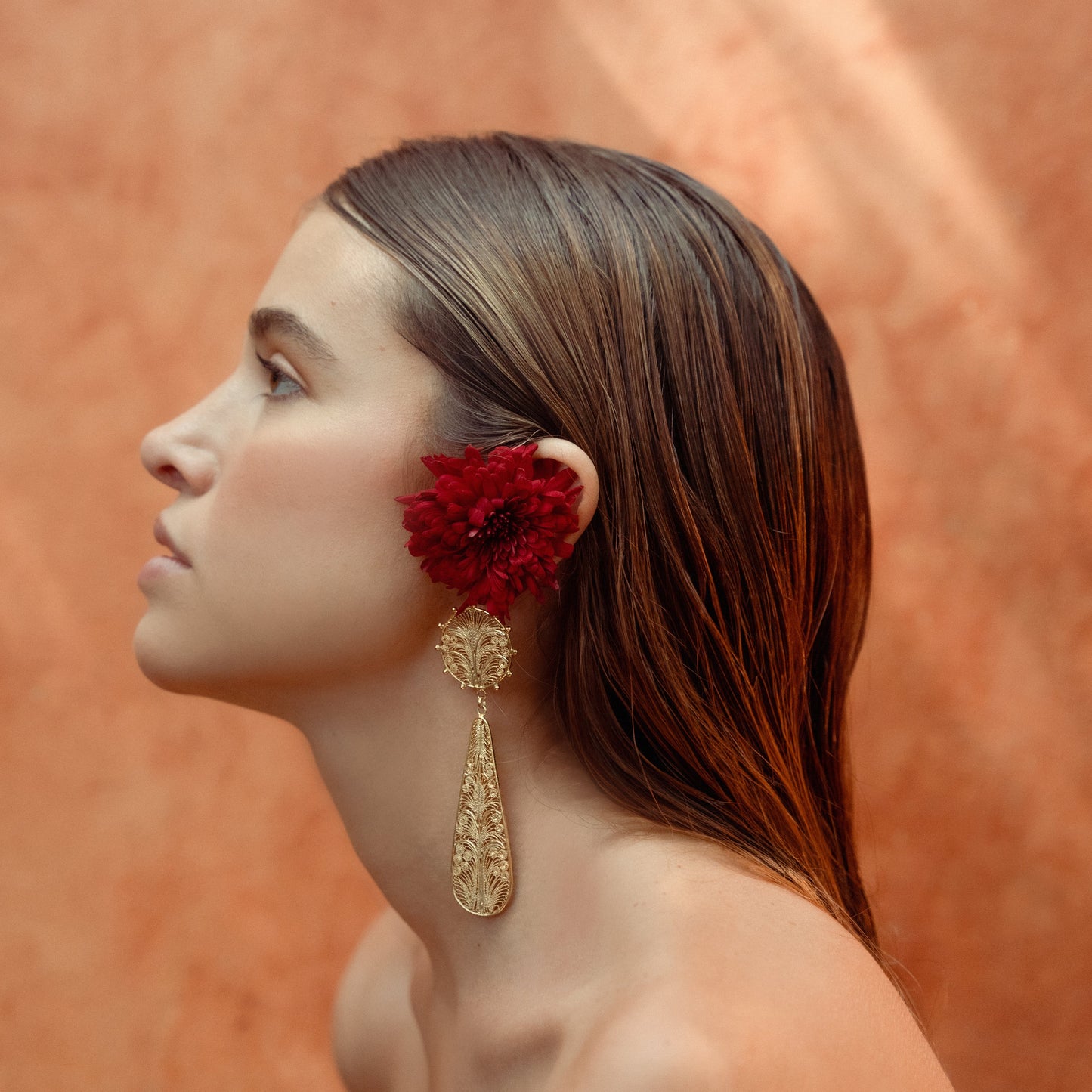 ALMA NEW STATEMENT 24K