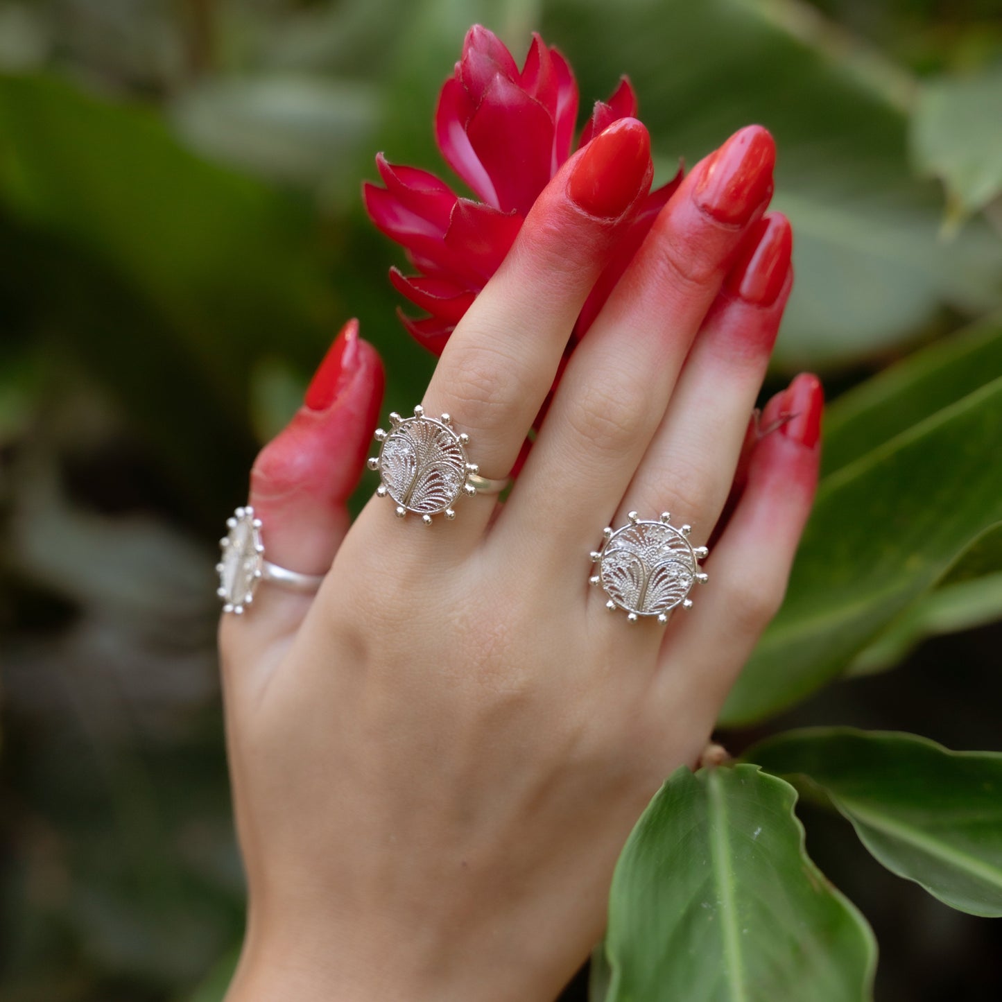 ANILLO ALMA SENCILLO