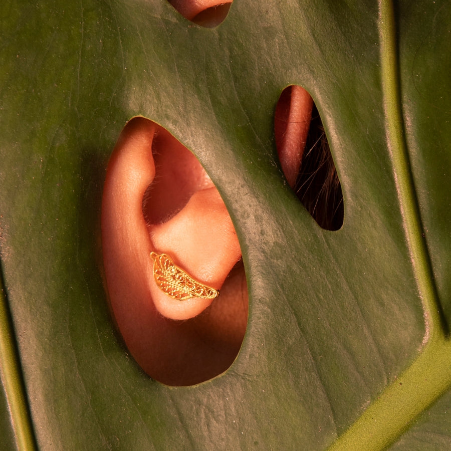 TROPICALIA CARDENILLA ROJA